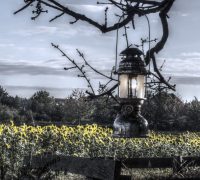 Luminance HDR 2.3.0 tonemapping parameters:
Operator: Mantiuk06
Parameters:
Contrast Mapping factor: 0.1
Saturation Factor: 0.8 
Detail Factor: 1 
------
PreGamma: 1.55